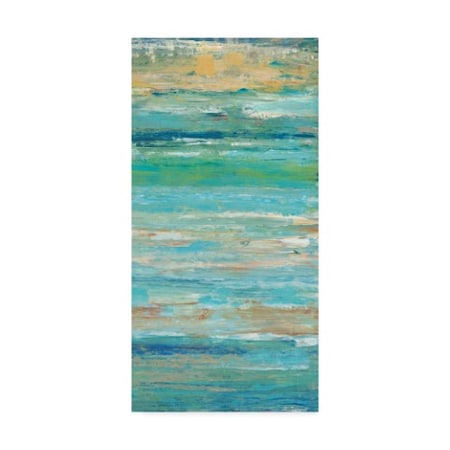 Tim Otoole 'Riptide Ii' Canvas Art,24x47